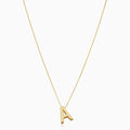 Collar de Amor con Inicial | Oro