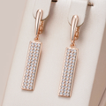 Pendientes rectangulares elegantes y brillantes